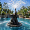Floating Solar Fountain Pump with LED Lights