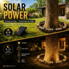 Solar Ring Tree Light